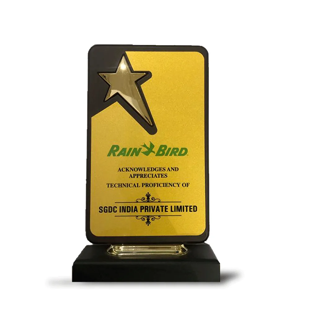 SGDC India team and accolades