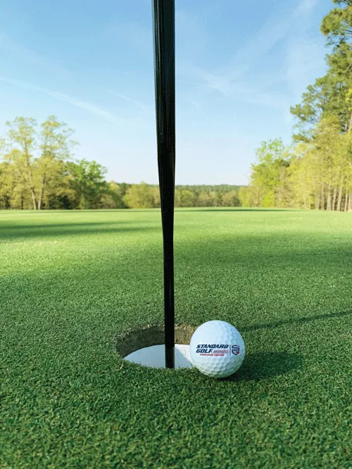 Standard Golf equipment