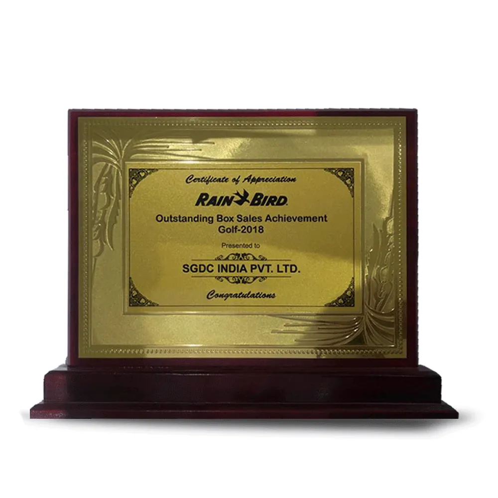 SGDC India team and accolades
